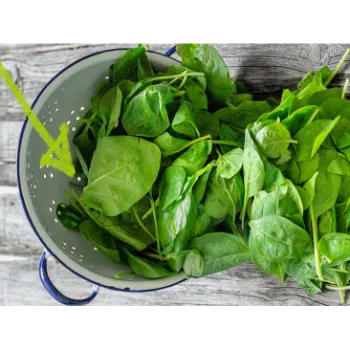 Spinach (21)-4560040-11429.webp